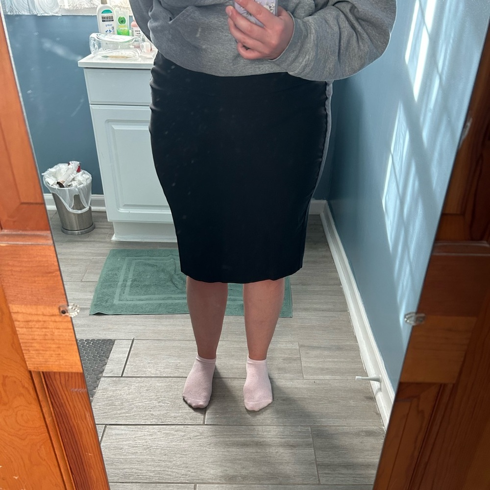 Business office appropriate skirt
